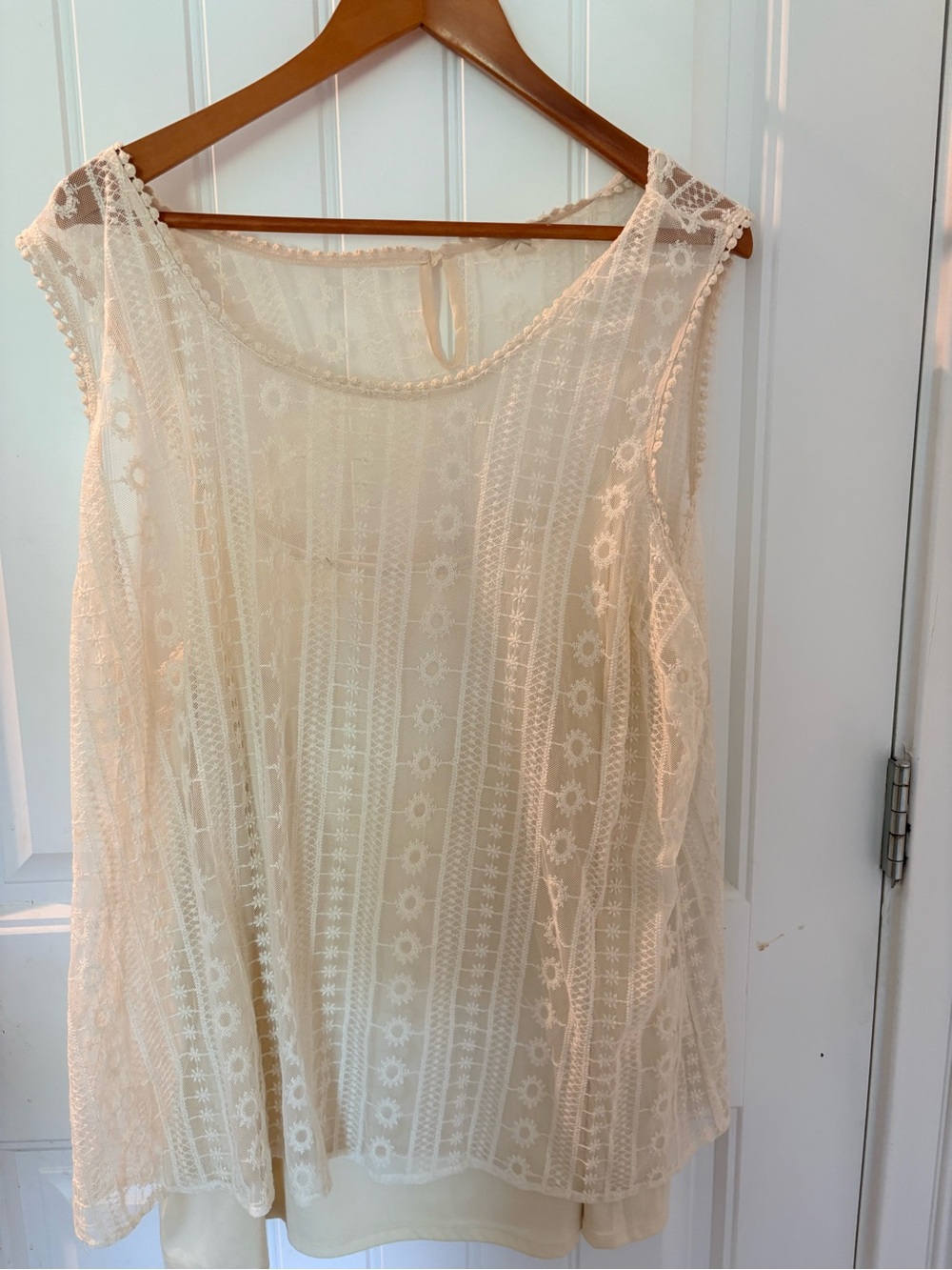 Adiva Sheer Lace Camisole in Cream